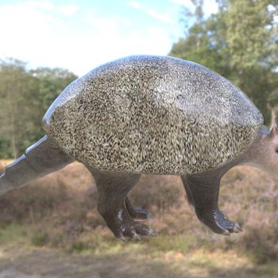 雕齿兽上新世更新世期