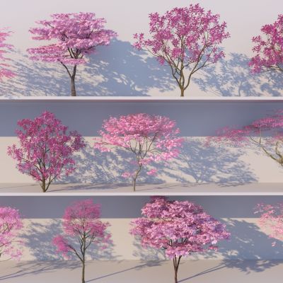 现代樱花树组合_粉色树3D模型