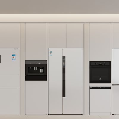 冰箱 嵌入式冰箱 双开门冰箱 烤箱 蒸箱 直饮机 咖啡机