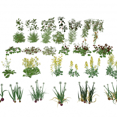 现代农作物组合