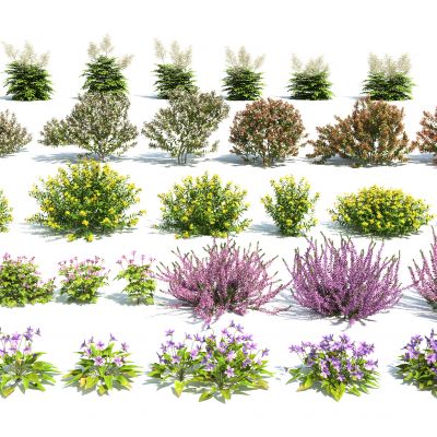 现代花卉灌木组合