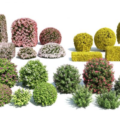 现代绿篱灌木组合