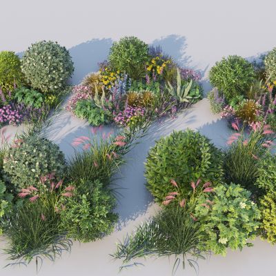 现代植物组合_花卉组团_景观花草3D模型
