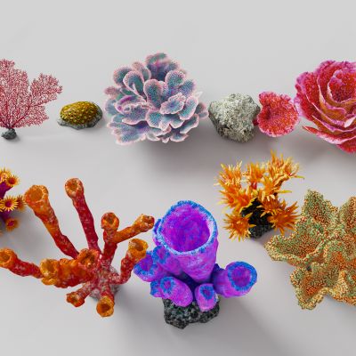 珊瑚海底生物_珊瑚礁_珊瑚_海草