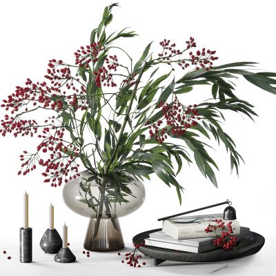 现代桌面绿植
