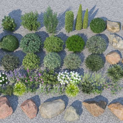 现代灌木植物组合_石头组_灌木3D模型