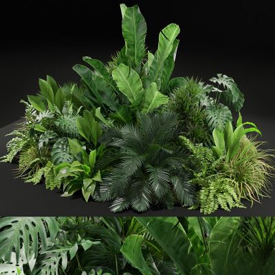 现代地面绿植