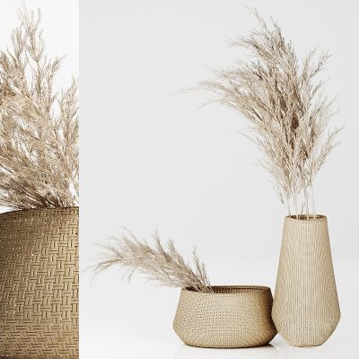现代干花芦苇