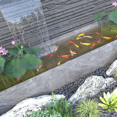 现代水景_荷花锦鲤
