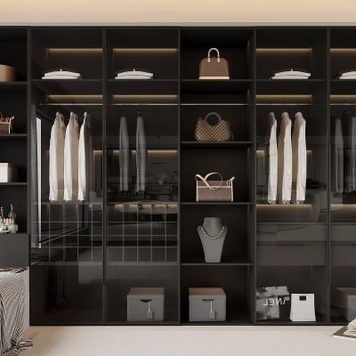 现代衣柜  现代衣帽间衣柜 服饰包包 衣服 箱包