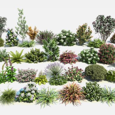 现代花卉灌木组合