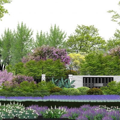 2d景观植物居住区景观树乔木灌木地被花卉观赏草红枫碧桃榉树黄杨球景观草麦冬鼠尾草围墙植物组团