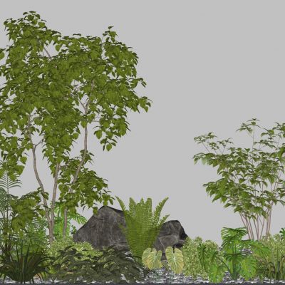 3d景观植物热带植物地被花卉棕榈植物龟背竹景石景观树卵石灌木景观草