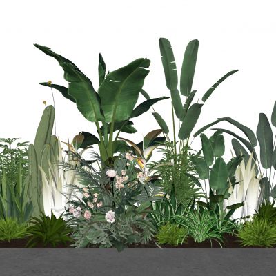 3d景观植物热带植物地被花卉棕榈植物龟背竹室内植栽观赏花卉仙人掌麦冬芦荟油皮树月季