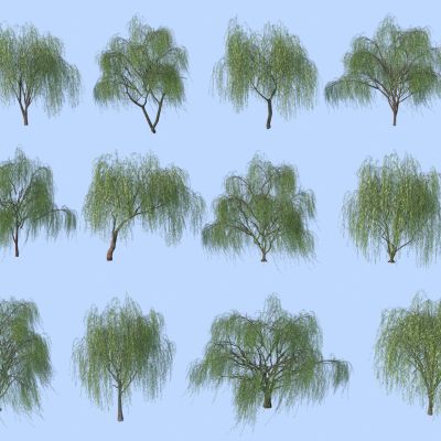 现代柳树_垂柳3D模型