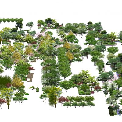 2d植物素材乔木灌木花卉植物球红枫桃树栾树榉树观赏草植物组团花镜