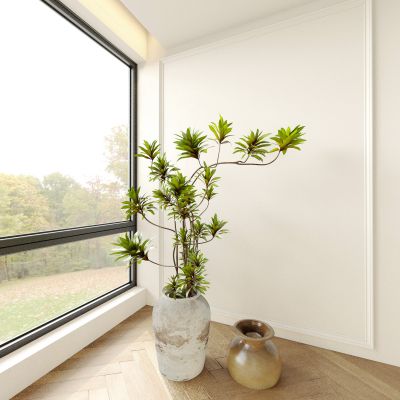 盆栽 盆景 植物 绿植 花盆