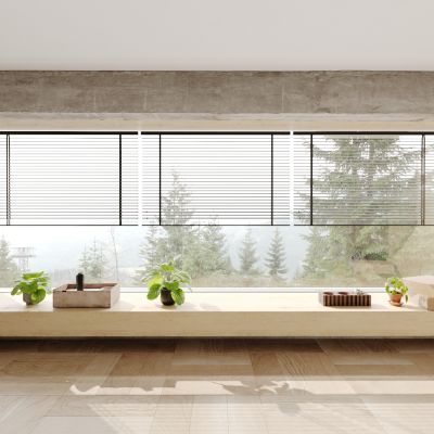 窗户 植物 盆栽