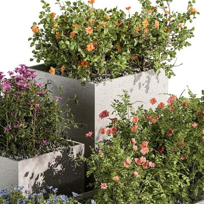 植物箱 户外植物 花卉 534