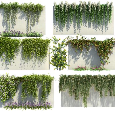 现代绿植藤曼组合