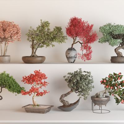 现代花盆盆栽组合