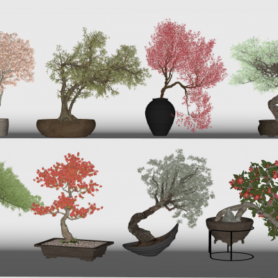 现代花盆盆栽组合