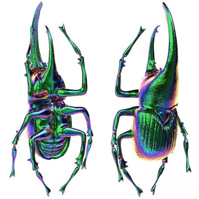 甲壳虫 III 墙面配件