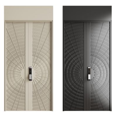 现代入户门组合