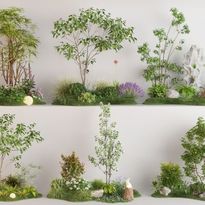 现代庭院景观植物组合