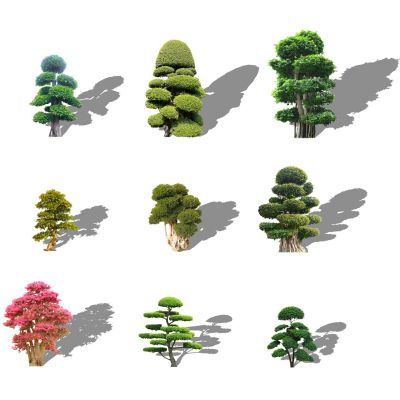 2d景观树景观植物造型树亮晶女贞红花继木桩老树桩造型白蜡榕树桩
