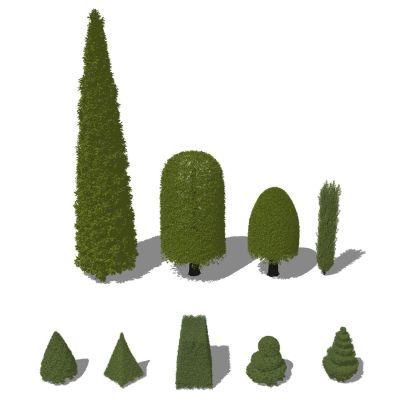 景观植物灌木造型植物灌木球景观树