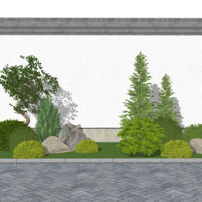 景观植物造型植物灌木球黄杨球景观草观赏草假山景石松树柏树