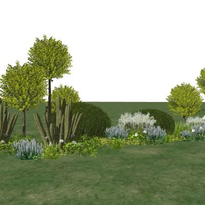 景观植物灌木球亮晶女贞棒棒糖树造型树黄杨球景观草观赏草