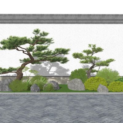 景观植物造型松罗汉松灌木球黄杨球景观草观赏草假山景石