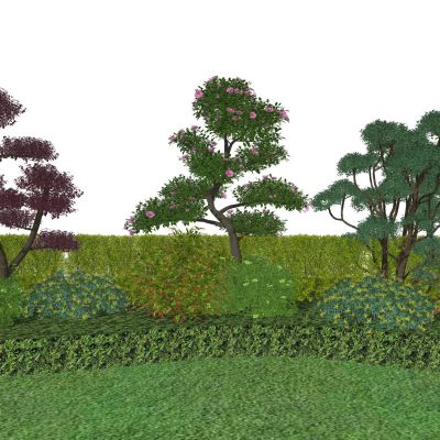 景观植物灌木球造型树黄杨球景观树绿篱景观草观赏草杜鹃