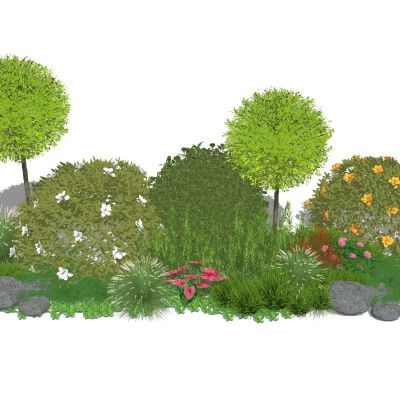 景观灌木修剪灌木造型女贞花草组合灌木球景观植物观赏草