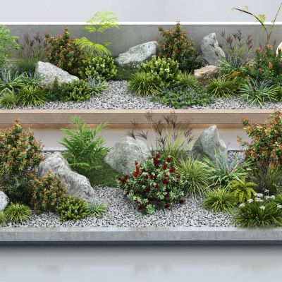   现代景观植物组合