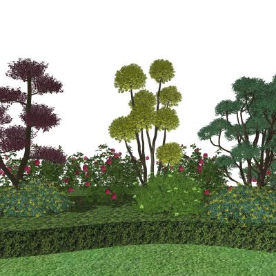 景观植物灌木球亮晶女贞棒棒糖树造型树黄杨球景观草观赏草月季