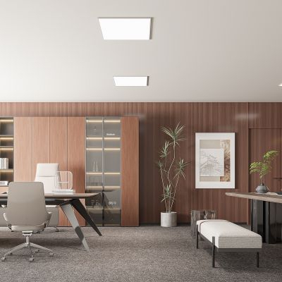 新中式董事长办公室