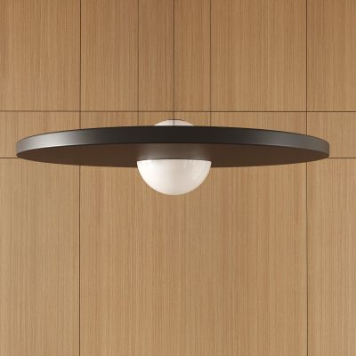 灯具 吊灯 照明灯