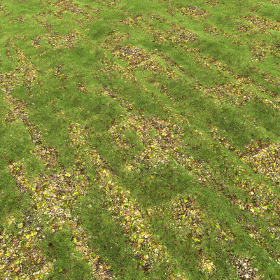 植物 草地 草 花草