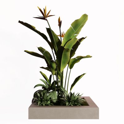 现代景观小品 灌木