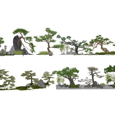 景观植物罗汉松造型树黑松庭院植物假山景石雕塑鹿人物石灯