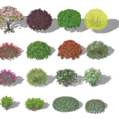 景观植物球灌木黄杨球杜鹃球紫叶小檗球石楠球连翘球