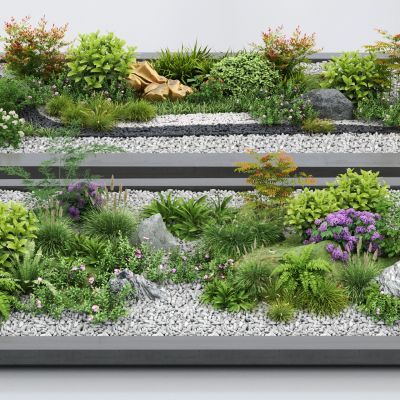  现代景观植物组合