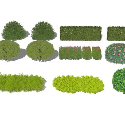 景观植物灌木造型植物灌木球黄杨球女贞球黄杨篱杜鹃球铺地柏