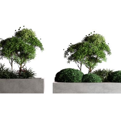 现代景观树 灌木 小草3D模型
