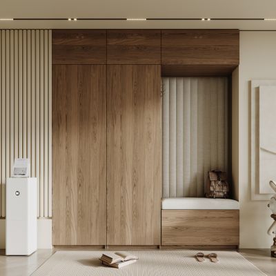 现代入户玄关柜 鞋柜 衣服 包包