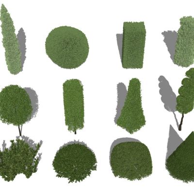 景观植物灌木树木花草花卉绿篱园林景观植物植物球灌木球法式皇家园林修剪植物