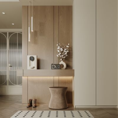 现代入户玄关柜 鞋柜 衣服 包包